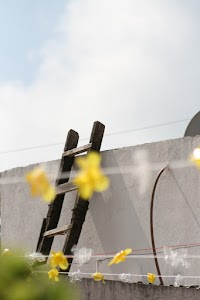 IMG_7994.jpg