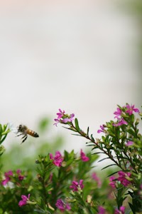 IMG_8282.jpg