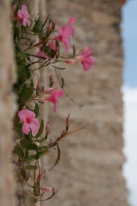 IMG_8749.jpg