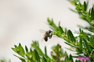 IMG_8792.JPG