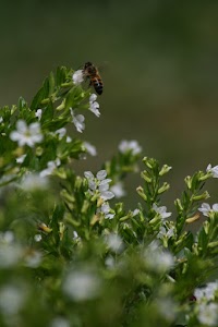 IMG_8808.jpg