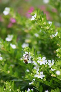 IMG_8813.jpg