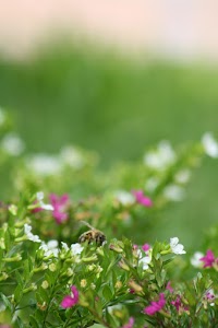 IMG_8826.jpg