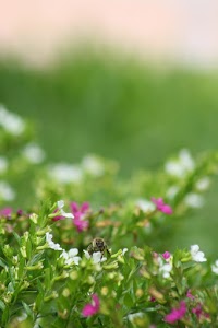 IMG_8828.jpg
