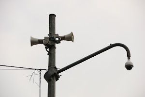 IMG_9065.jpg
