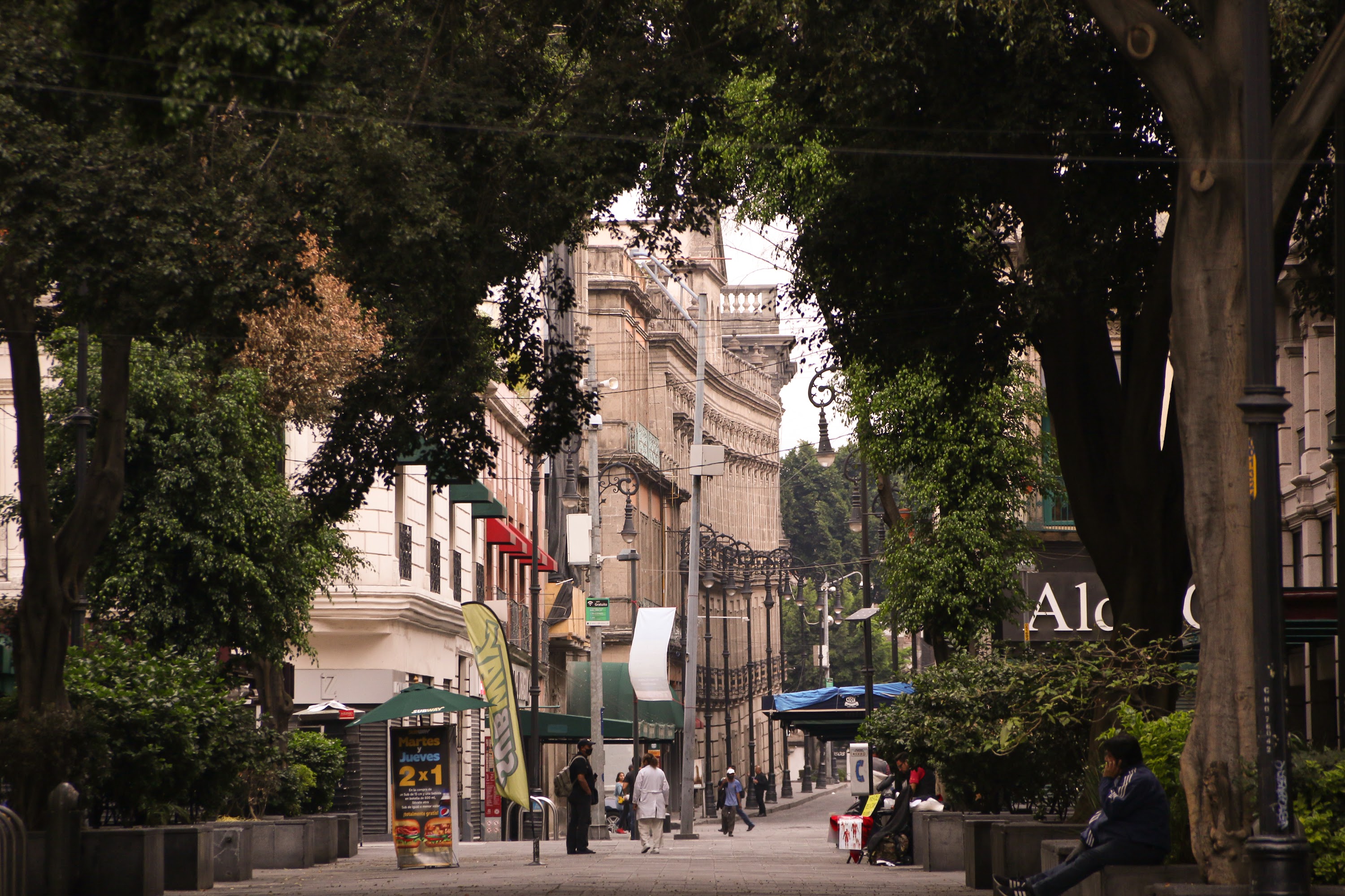 Free WiFi Sign on Street Pole – Mexico City Zócalo