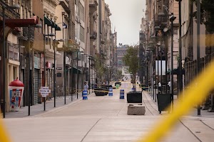 IMG_9196.jpg