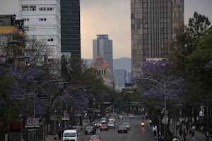 IMG_9216.JPG