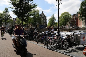 IMG_9231.JPG