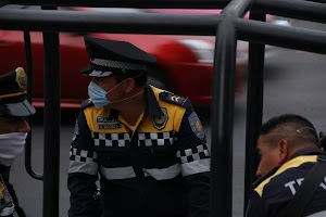 IMG_9259.JPG