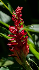 DSC07904.jpg