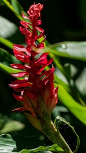 DSC07905.jpg