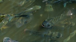 DSC07930.jpg