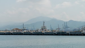 DSC08175.jpg