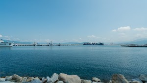 DSC08202.jpg