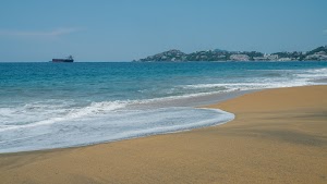 DSC08307.jpg