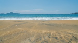 DSC08312.jpg