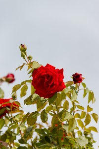 IMG_3543.jpg