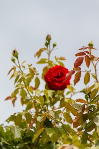 IMG_3544.jpg
