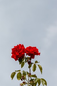 IMG_3570.jpg