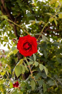 IMG_3577.jpg