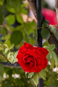 IMG_3578.jpg