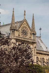 IMG_3585.jpg