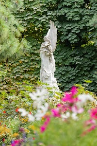 IMG_3624.jpg