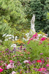 IMG_3625.jpg