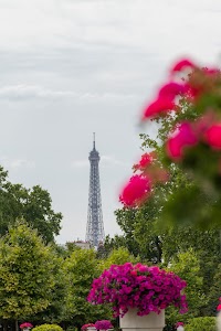 IMG_3640.jpg