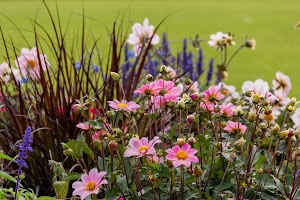 IMG_3668.jpg