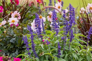 IMG_3669.jpg