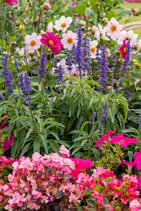 IMG_3680.jpg