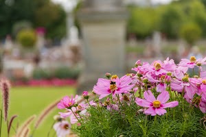 IMG_3684.jpg