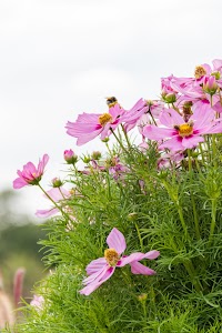 IMG_3710.jpg