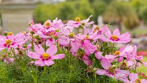 IMG_3754.jpg
