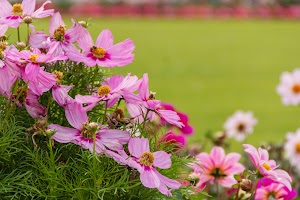 IMG_3767.jpg