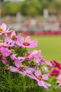 IMG_3779.jpg