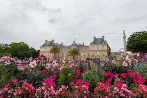 IMG_3789.jpg