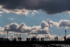 IMG_8041.jpg