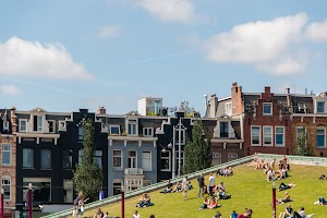 IMG_9224.jpg