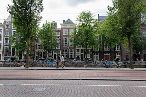 IMG_9412.jpg
