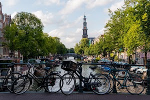 IMG_9487.jpg