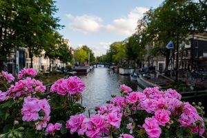 IMG_9492.jpg