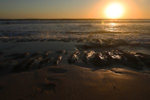 _E6I0704.JPG