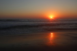 _E6I0812.JPG