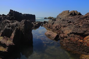 _E6I1107.JPG