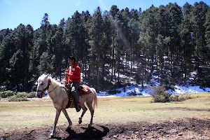 _MG_0101_edited.jpg