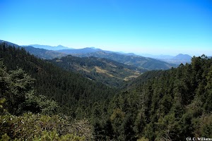 _MG_0106_edited.jpg