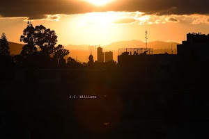 _E6I8361.jpg